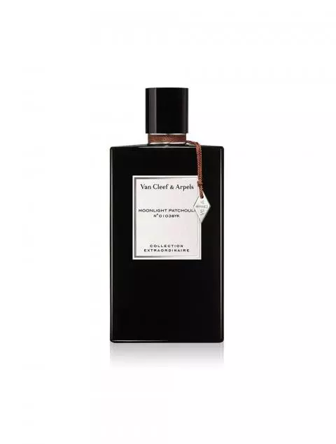 Collection extraordinaire van cleef & arpels 2025